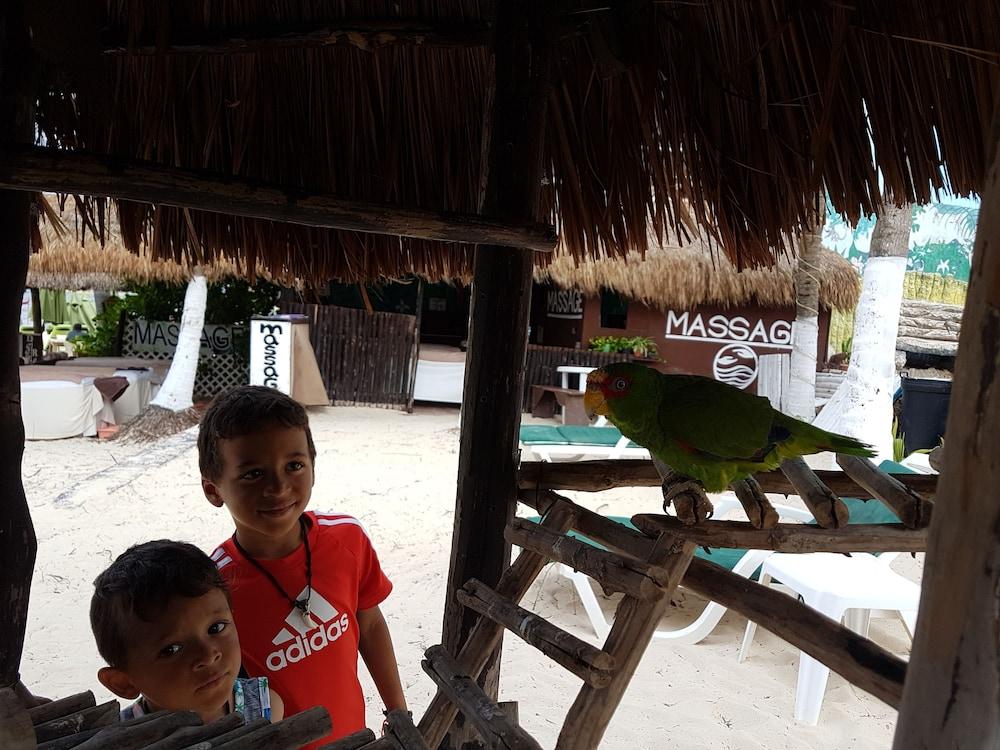 Costa Del Mar Hotel Playa del Carmen Bagian luar foto